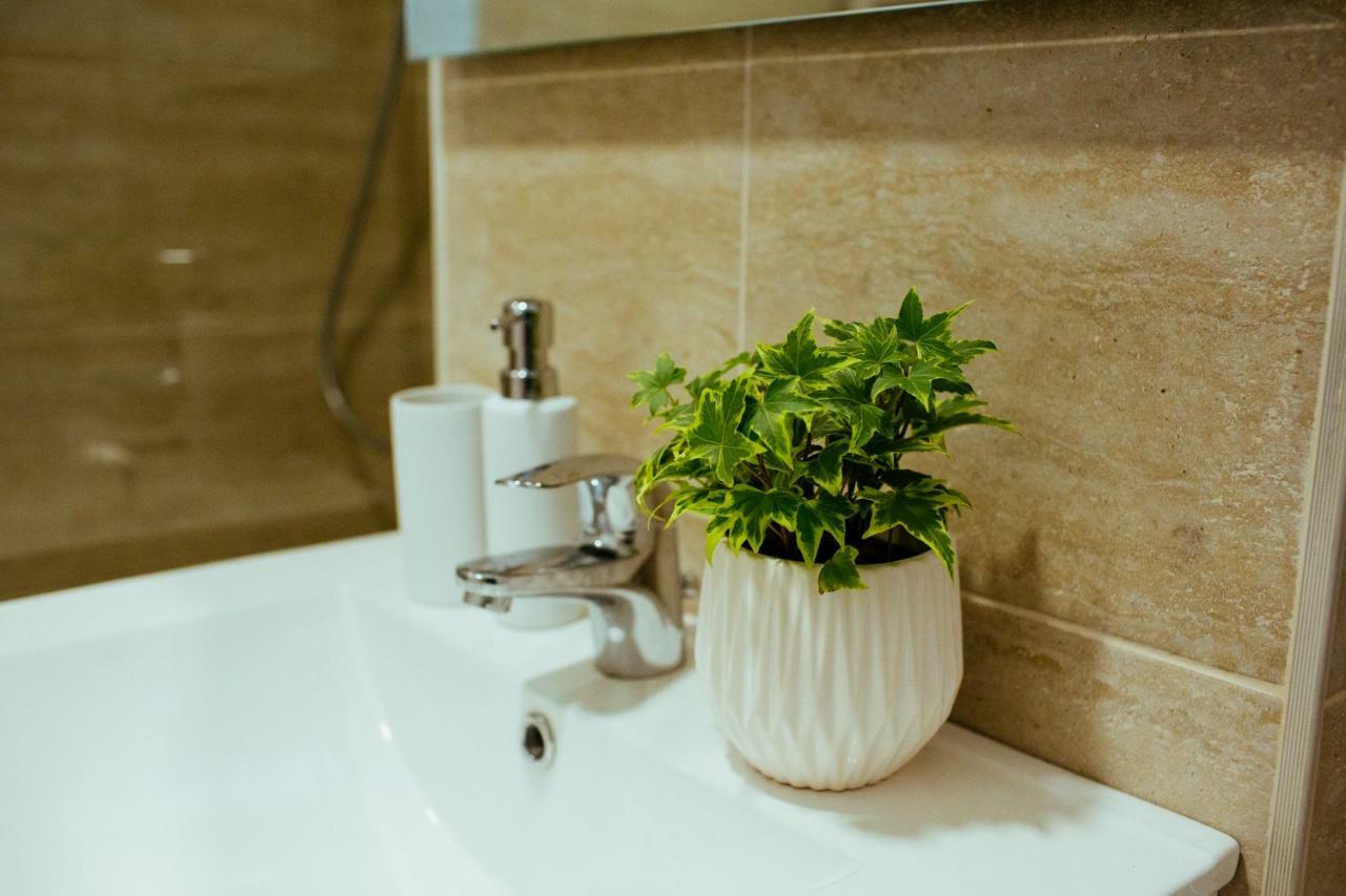 Urban Living Apartment Timisoara Bagian luar foto